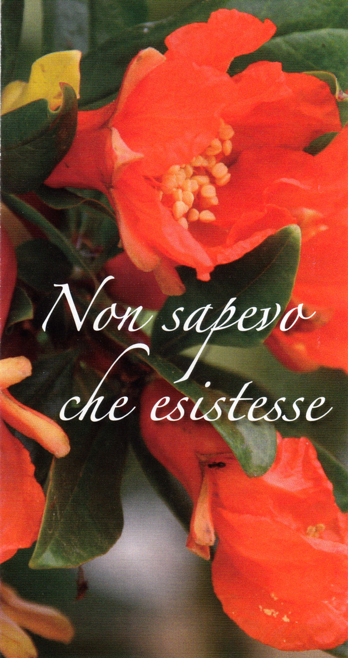 Non sapevo che esistesse - 100 Opuscoli