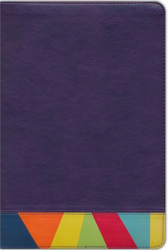 RVR60 Biblia de Estudio Arcoiris