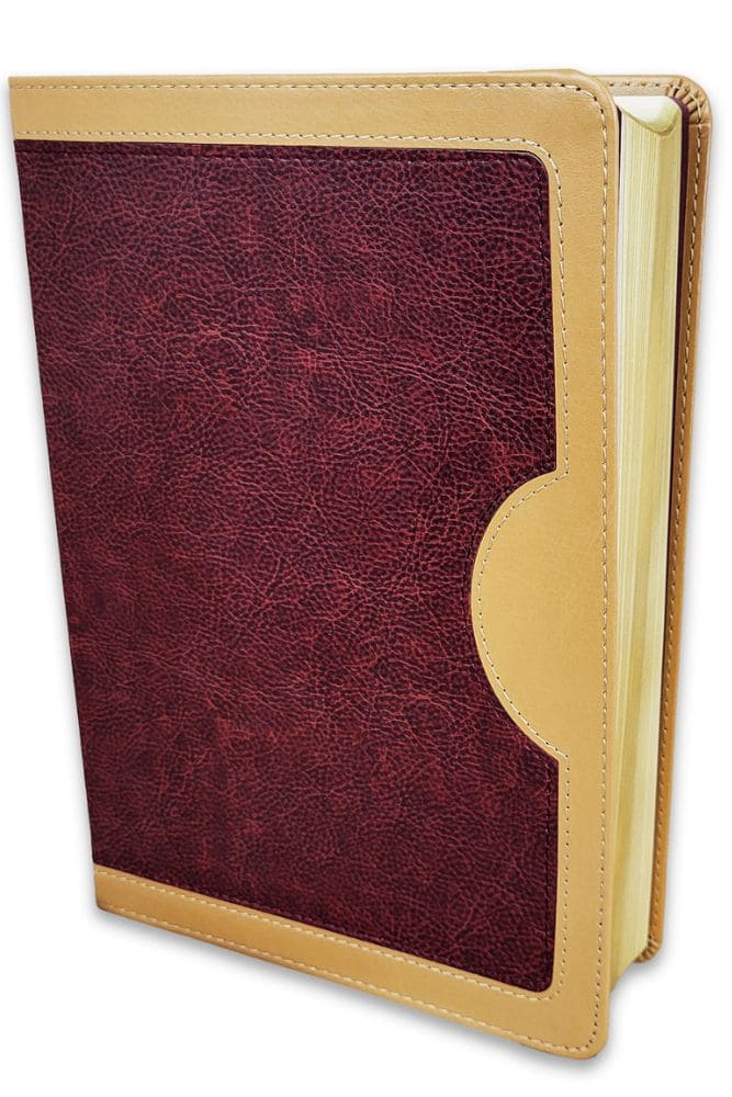 RVR60 Biblia de Estudio Vida Plena