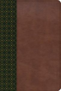 RVR60 Biblia de Estudio Scofield