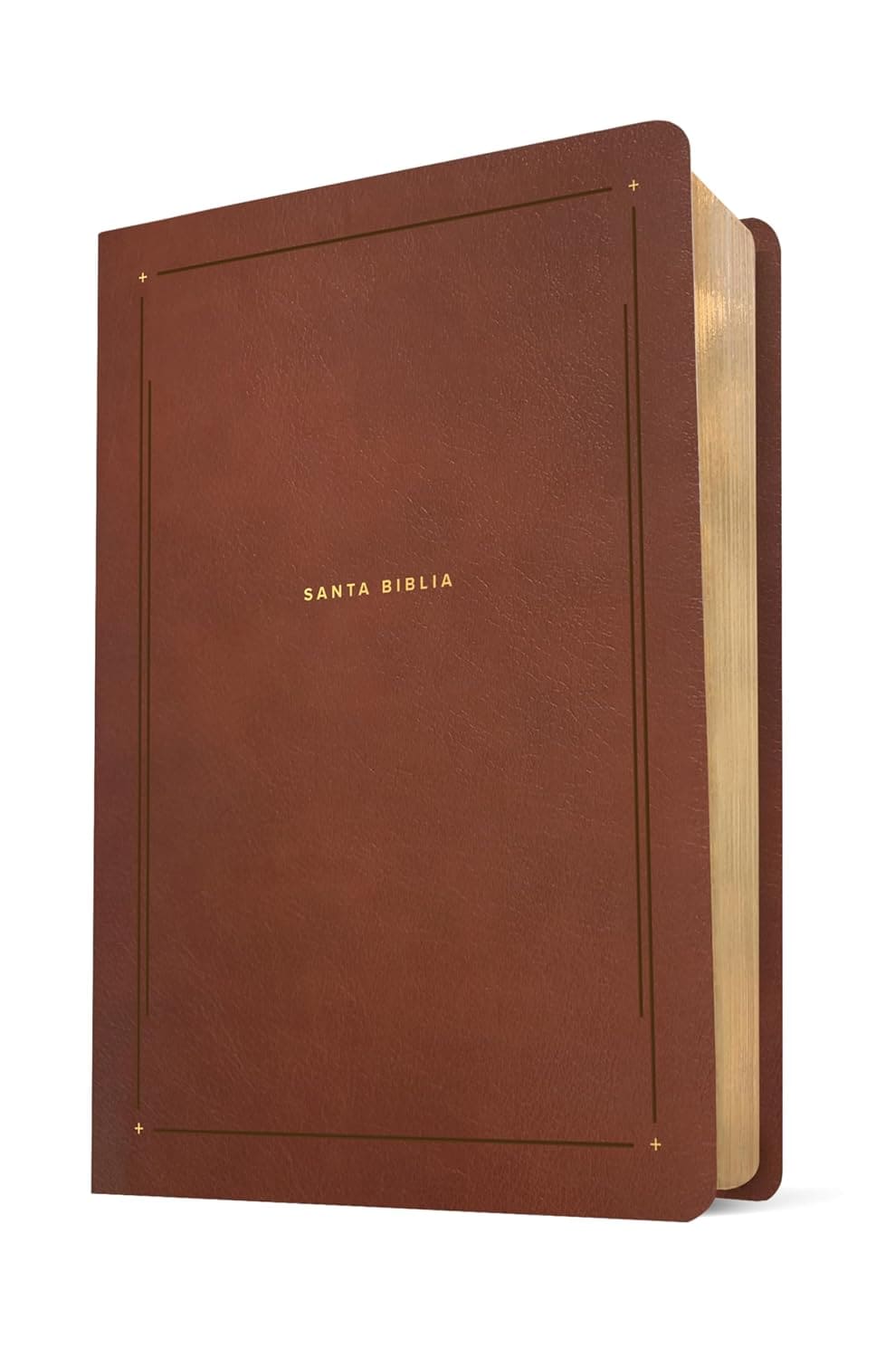 NTV Biblia de Estudio Diario Vivir
