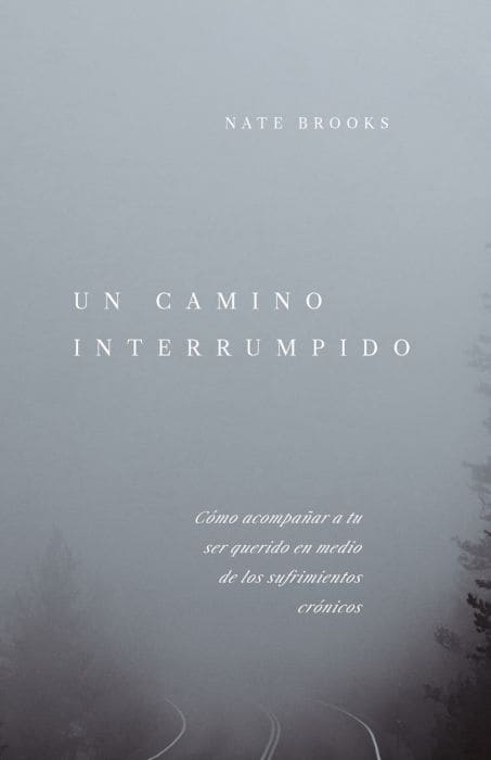 Camino Interrumpido