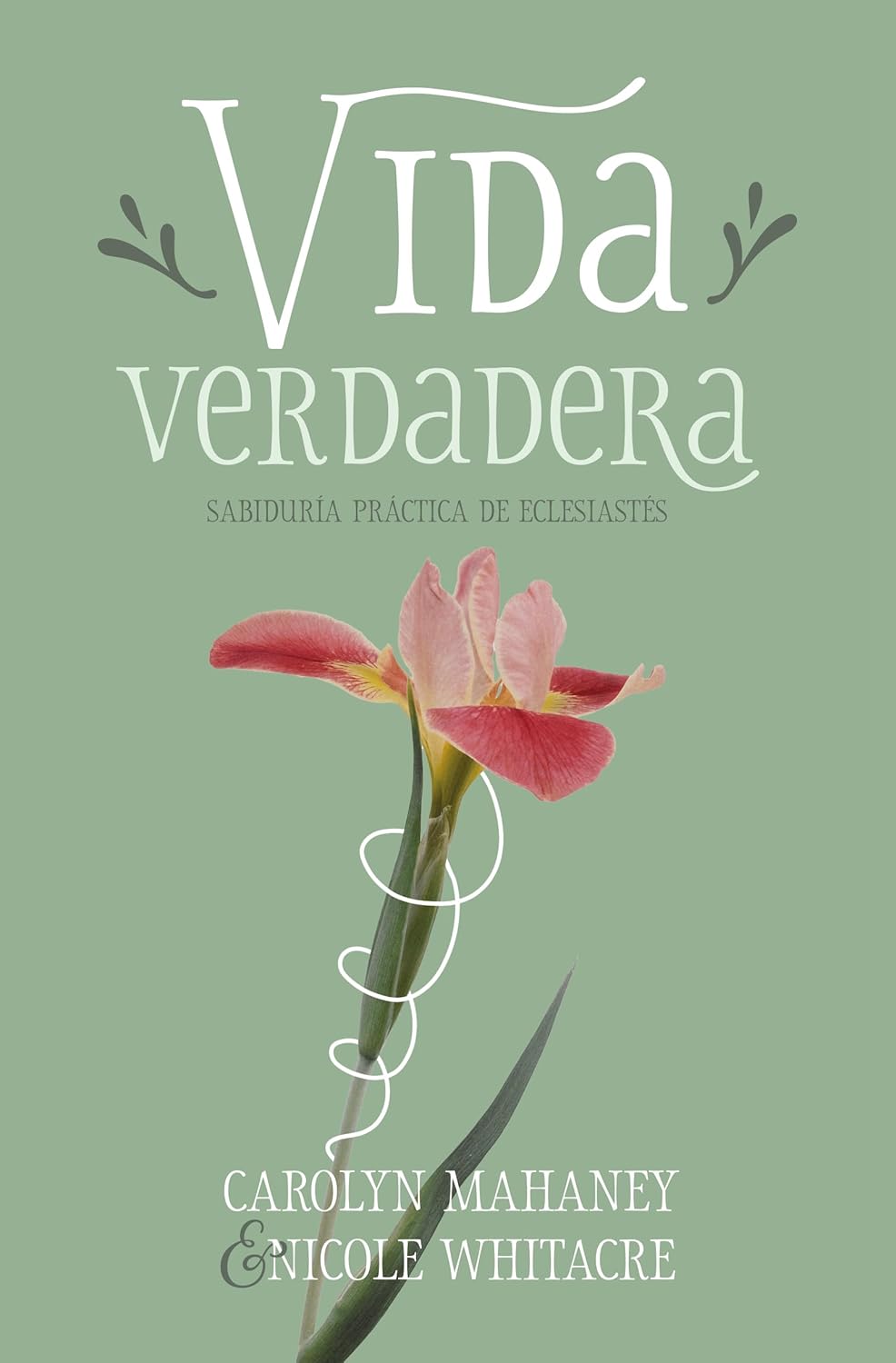 Vida Verdadera