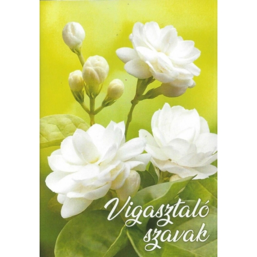 Vigasztaló szavak
