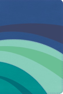 Arco Iris RVR60