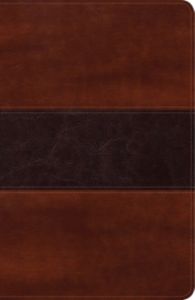 Biblia Peshitta