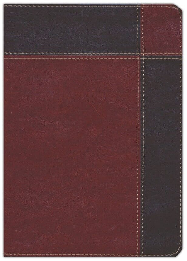 RVR60 Biblia de Estudio Ryrie Ampliada con índice