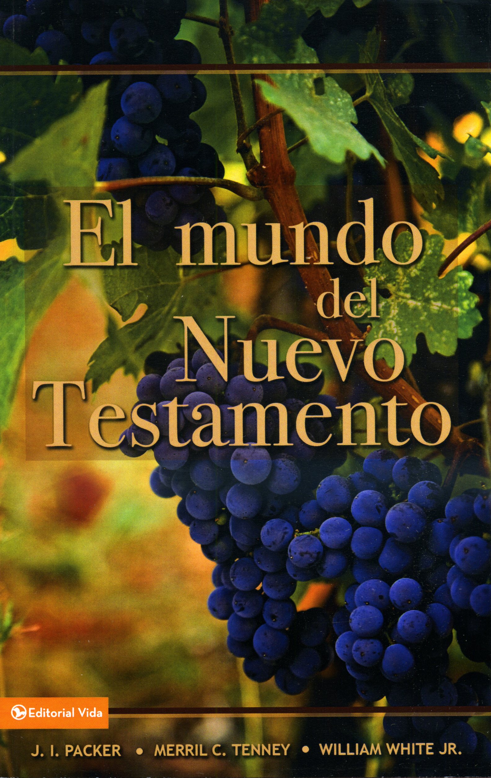 El Mundo del Nuevo Testamento