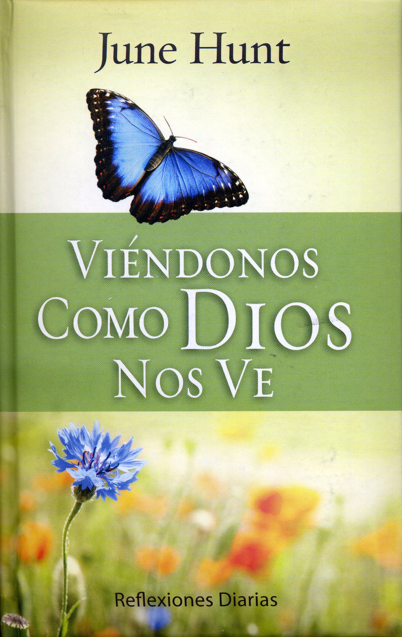Viéndonos como Dios nos Ve