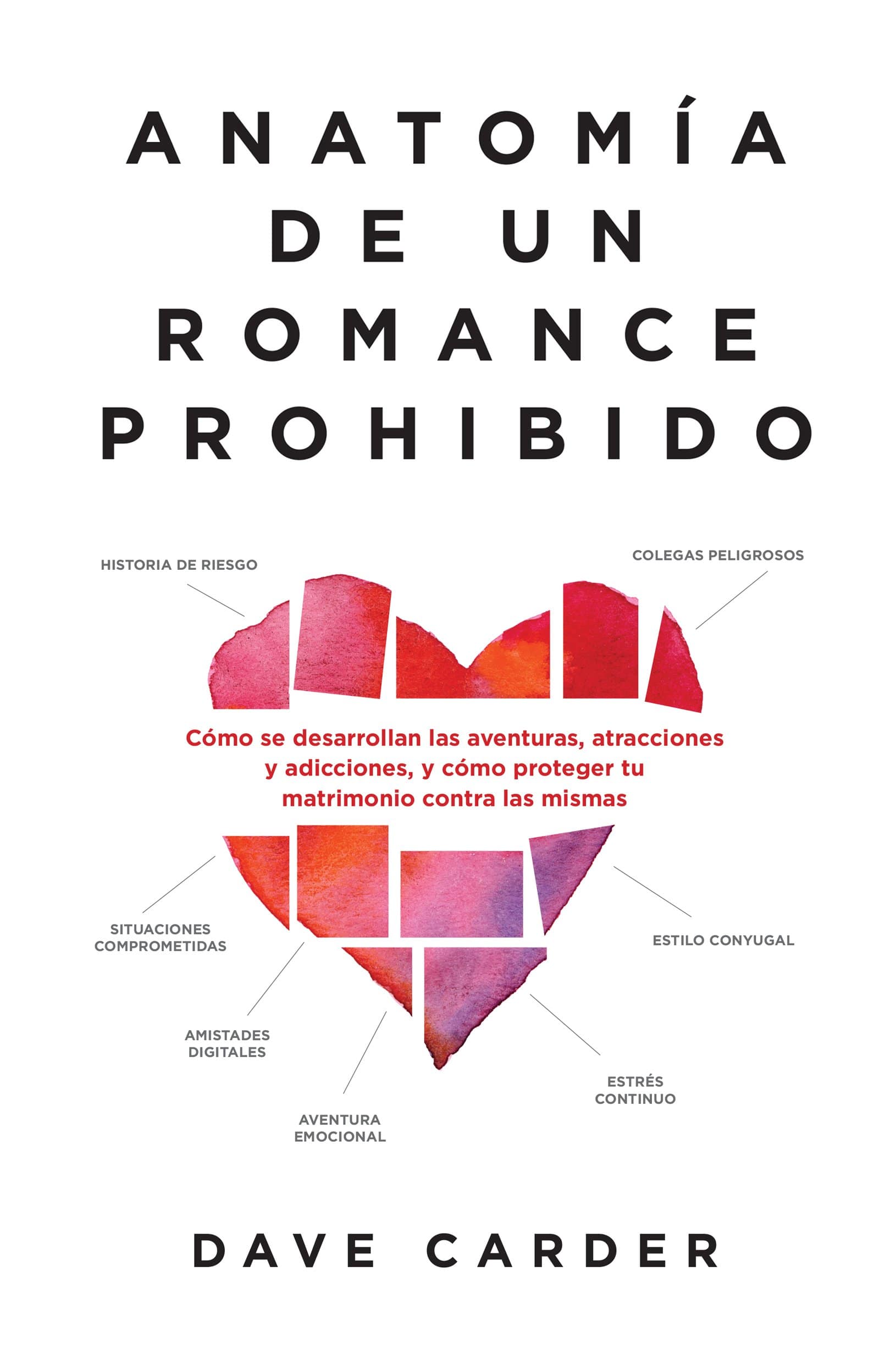 Anatomía de un Romance Prohibido