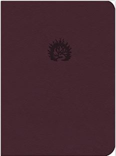 LBLA Biblia de Estudio de la Reforma
