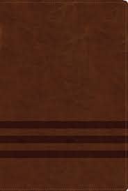 NVI Biblia de Estudio Teología Bíblica con Índice