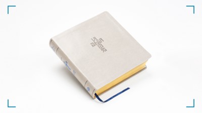 NTV Biblia QR Principios para Vivir