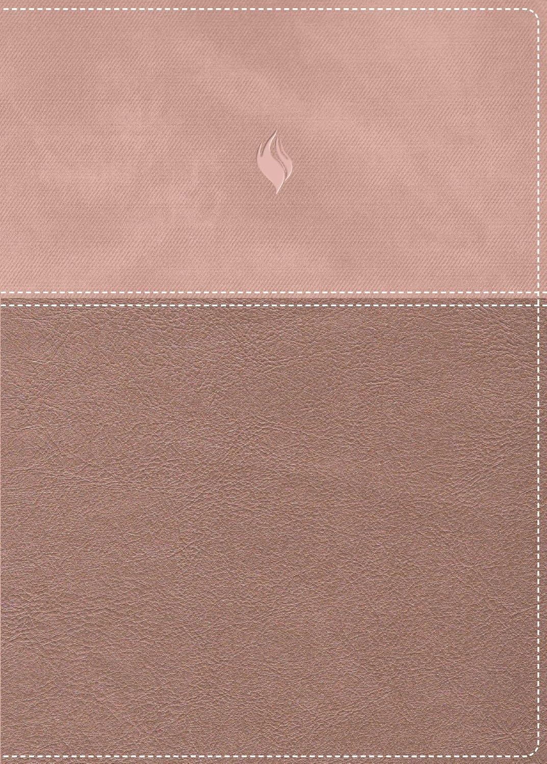 RVR 1960 Biblia de Estudio Vida Plena