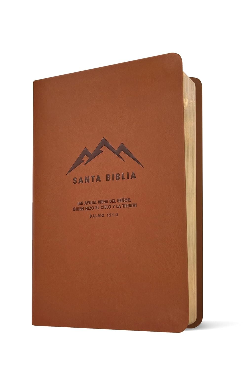 NTV Biblia Compacta Filament Tamaño Bolsillo