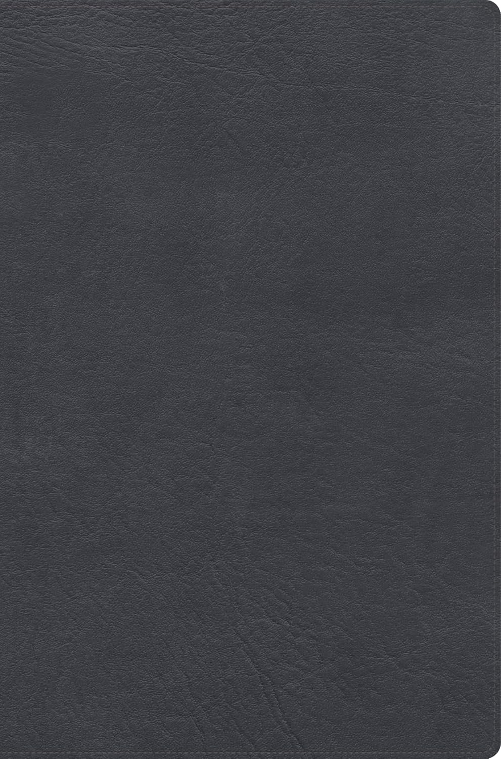 RVR 1960 Biblia de Estudio Letra Gigante