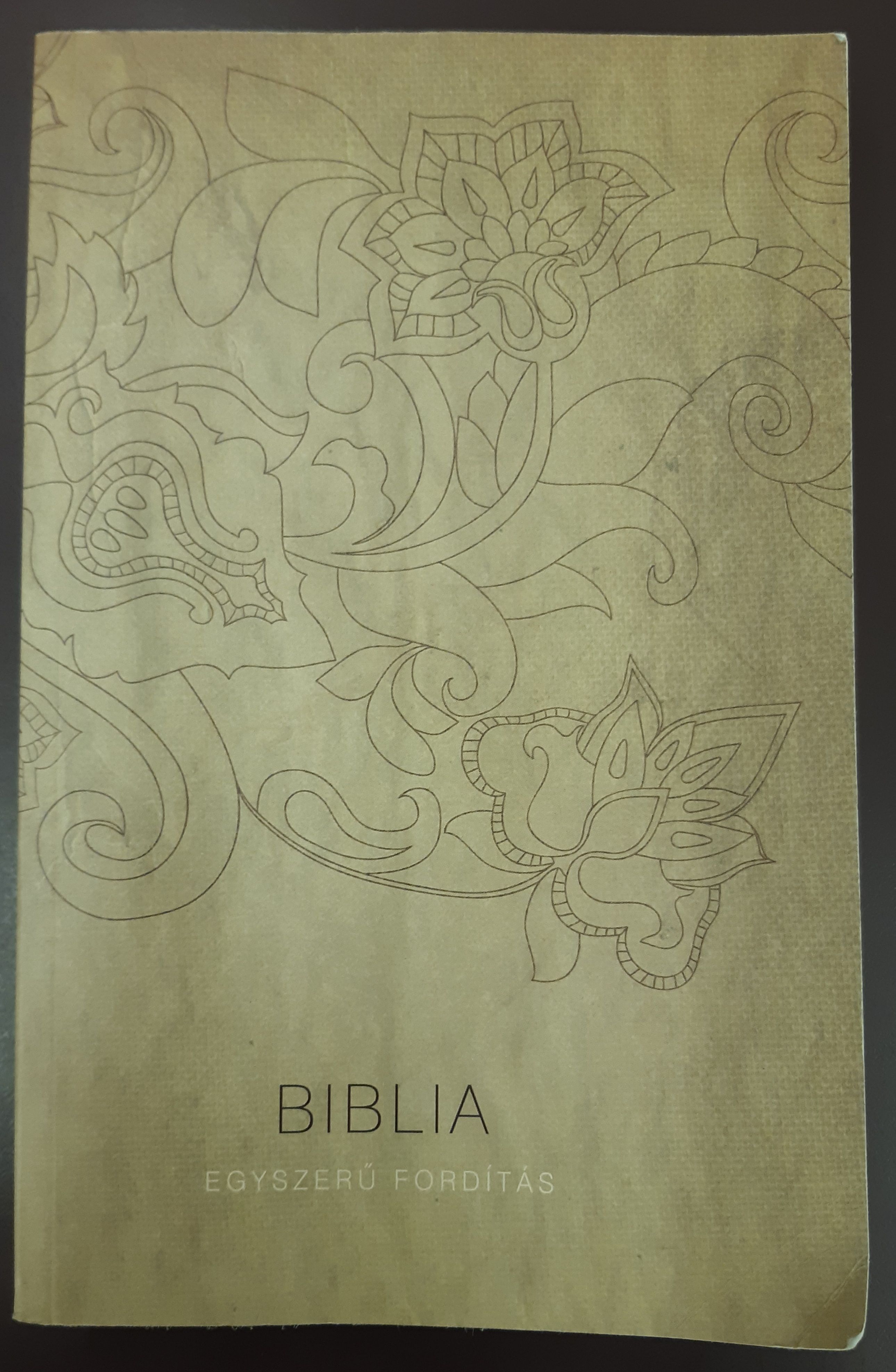 Biblia egyszerű fordítás női borító
