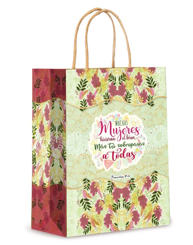 Bolsa Regalo Grande Hicieron el bien
