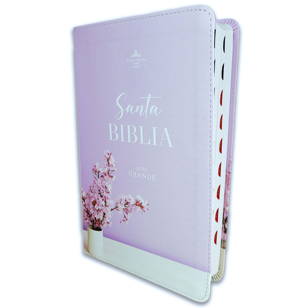 Biblia Rvr60 065Cti Colección Supreme Lila Con Jarrón