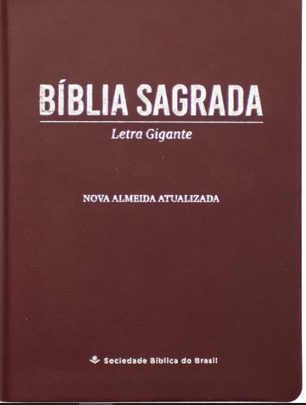 Bíblia Sagrada NAA Letra Gigante