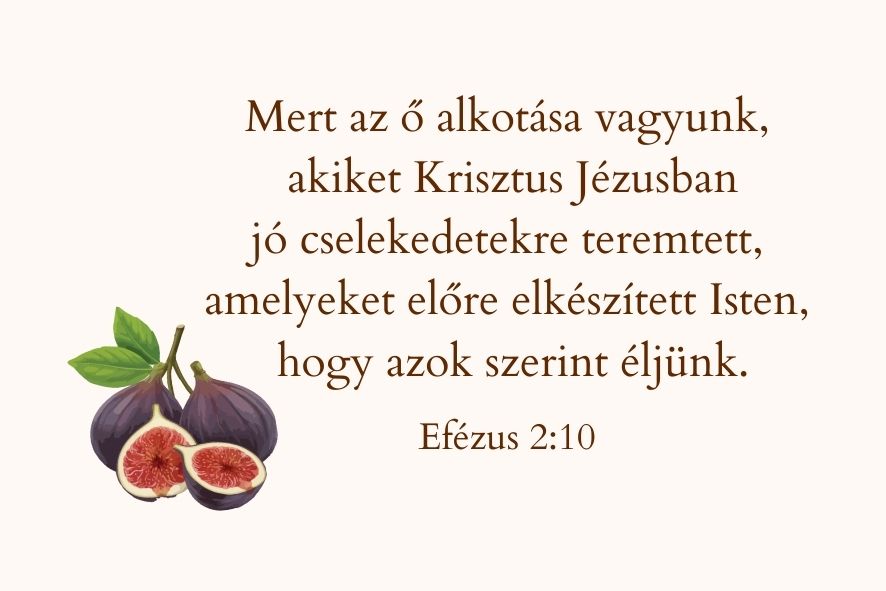 Igés kártya Efézus 2:10 (füge)