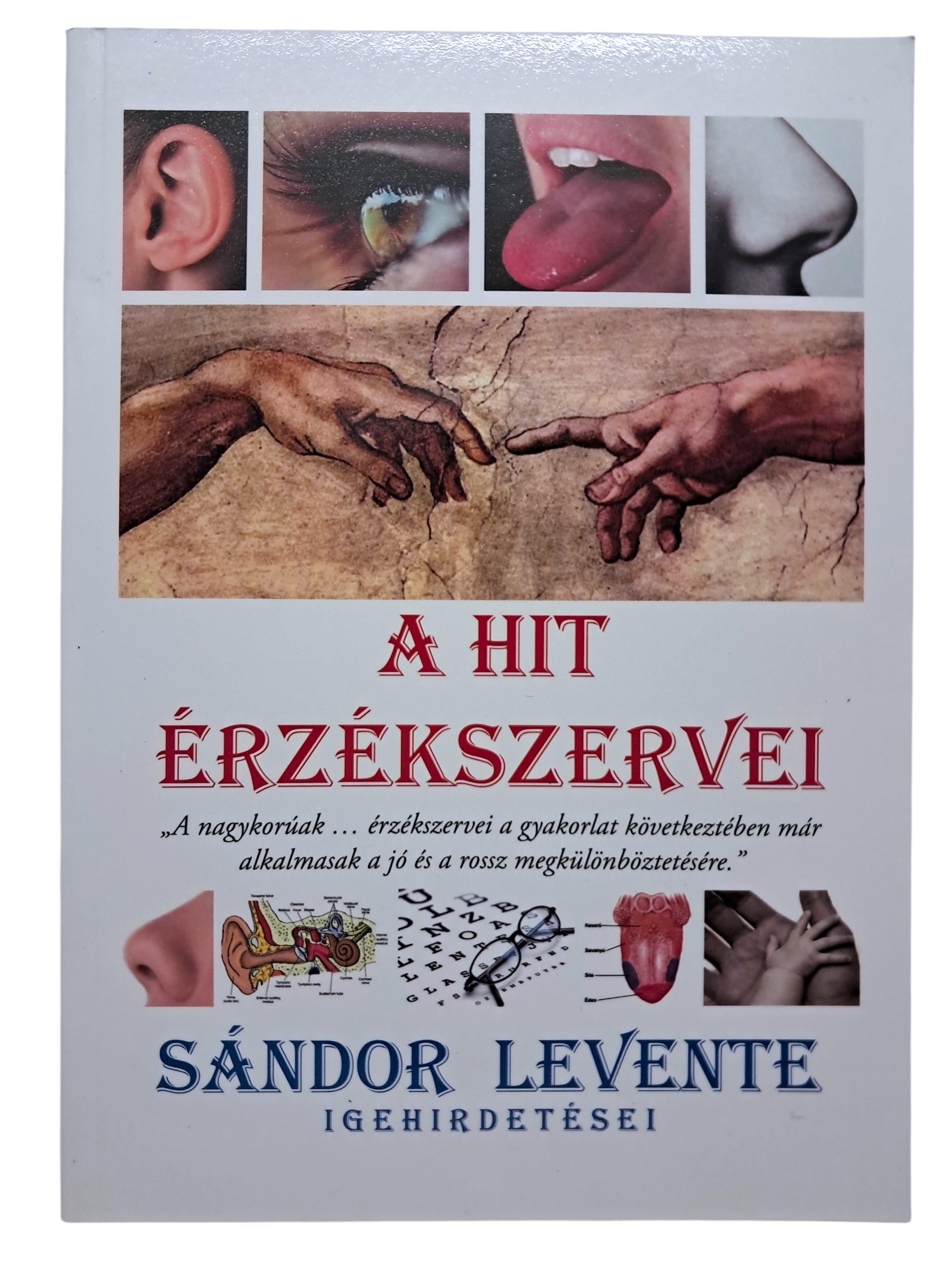 A hit érzékszervei