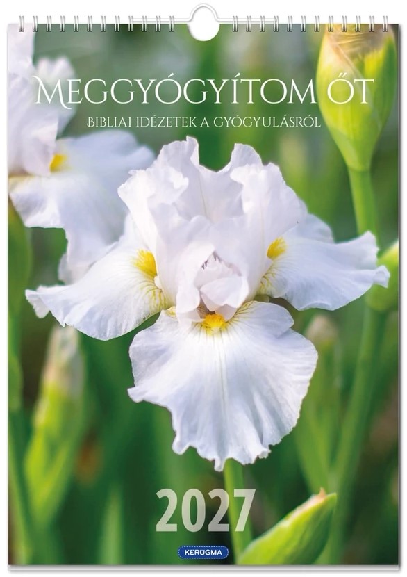 Nagyméretű falinaptár 2027 - Meggyógyítom őt