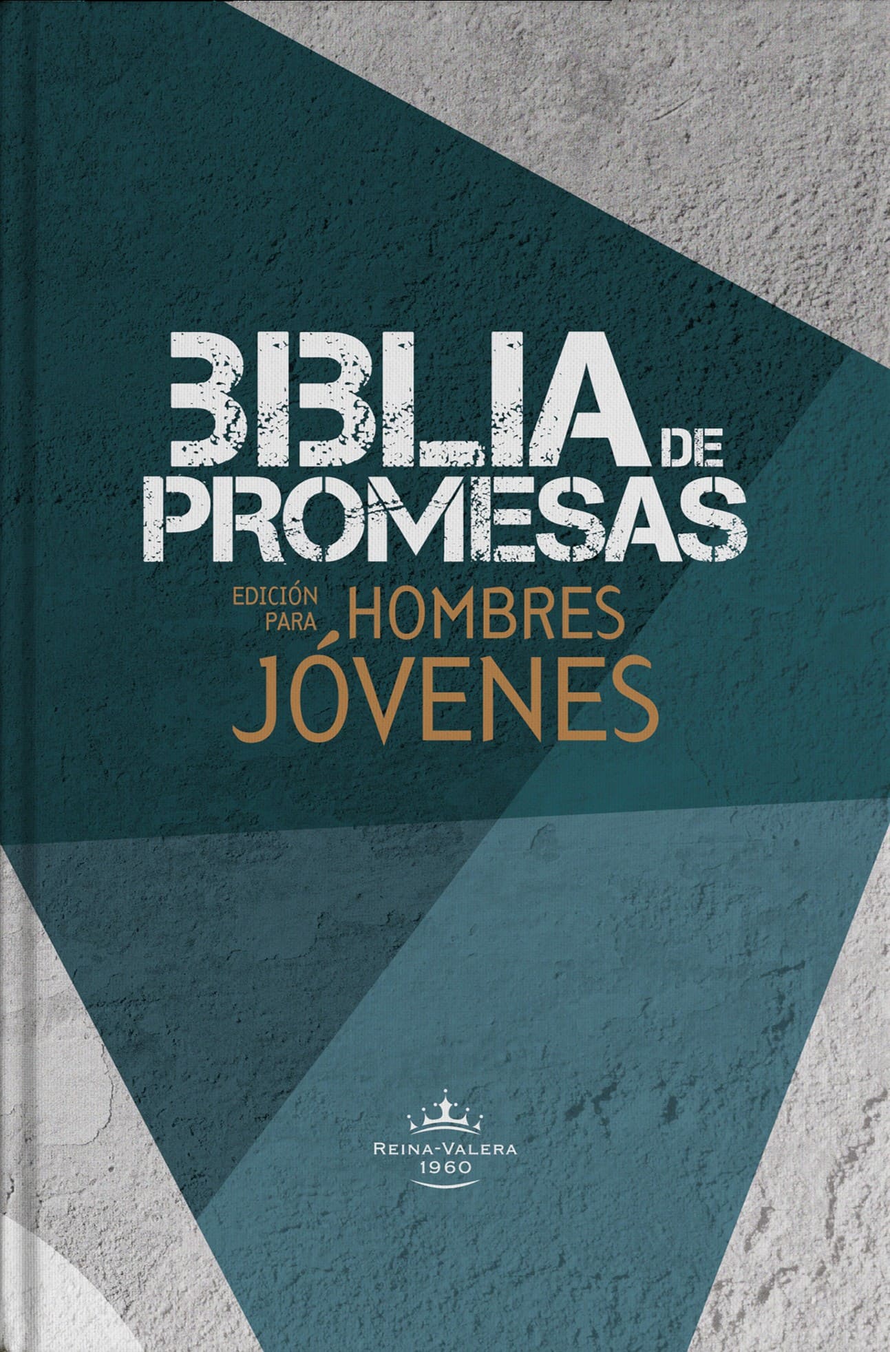 RVR 1960 Biblia de Promesas para Jóvenes Hombres