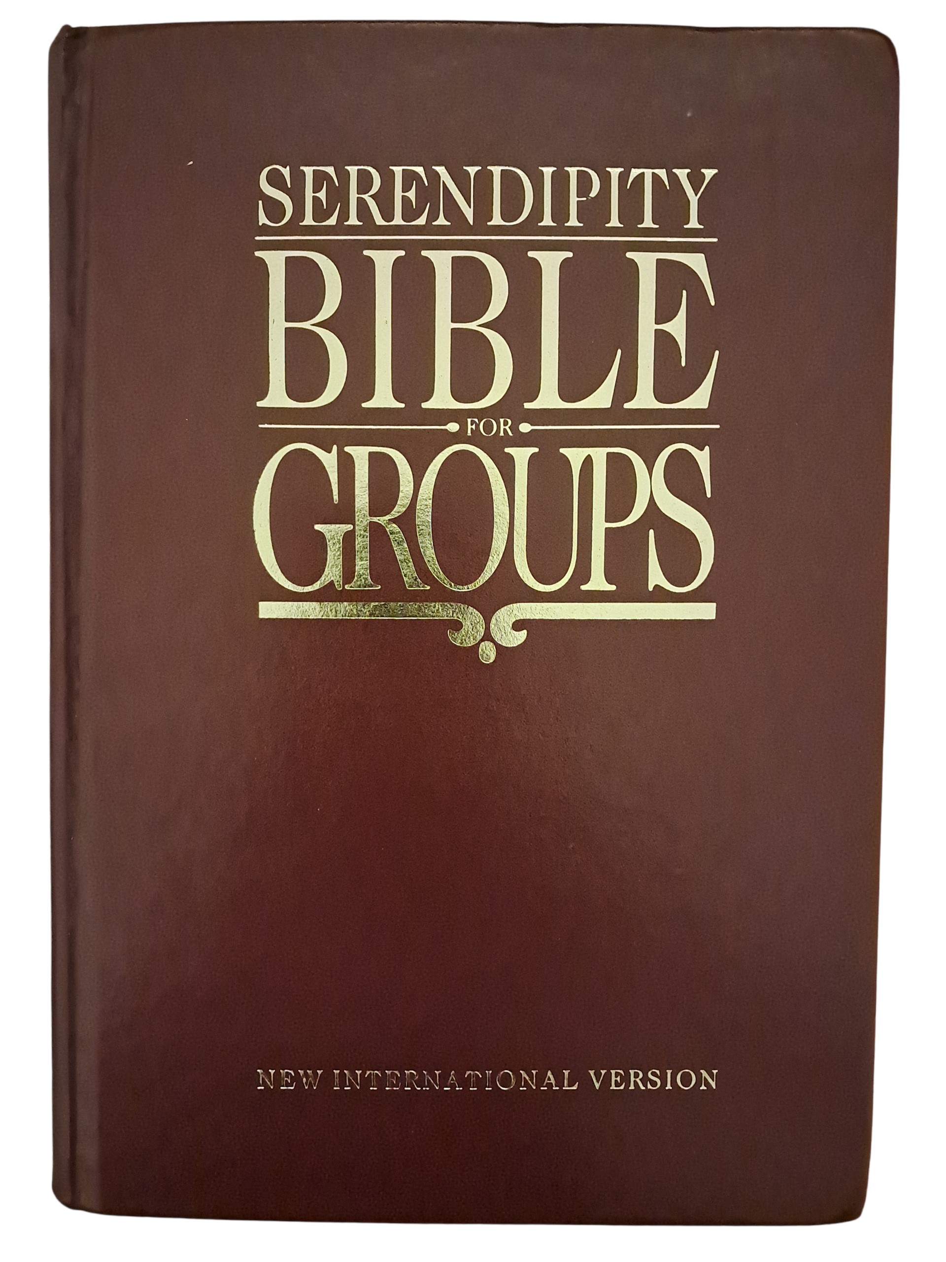 Serendipity Bible for Groups