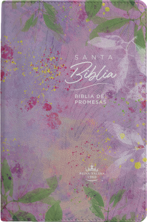 RVR 1960 Biblia de Promesas Letra Grande y Ziper