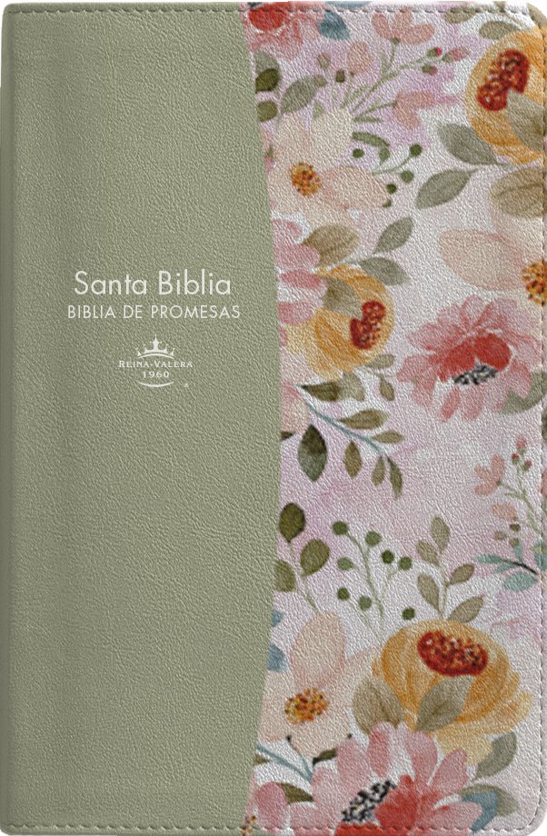 RVR 1960 Biblia de Promesas Letra Grande y Zíper