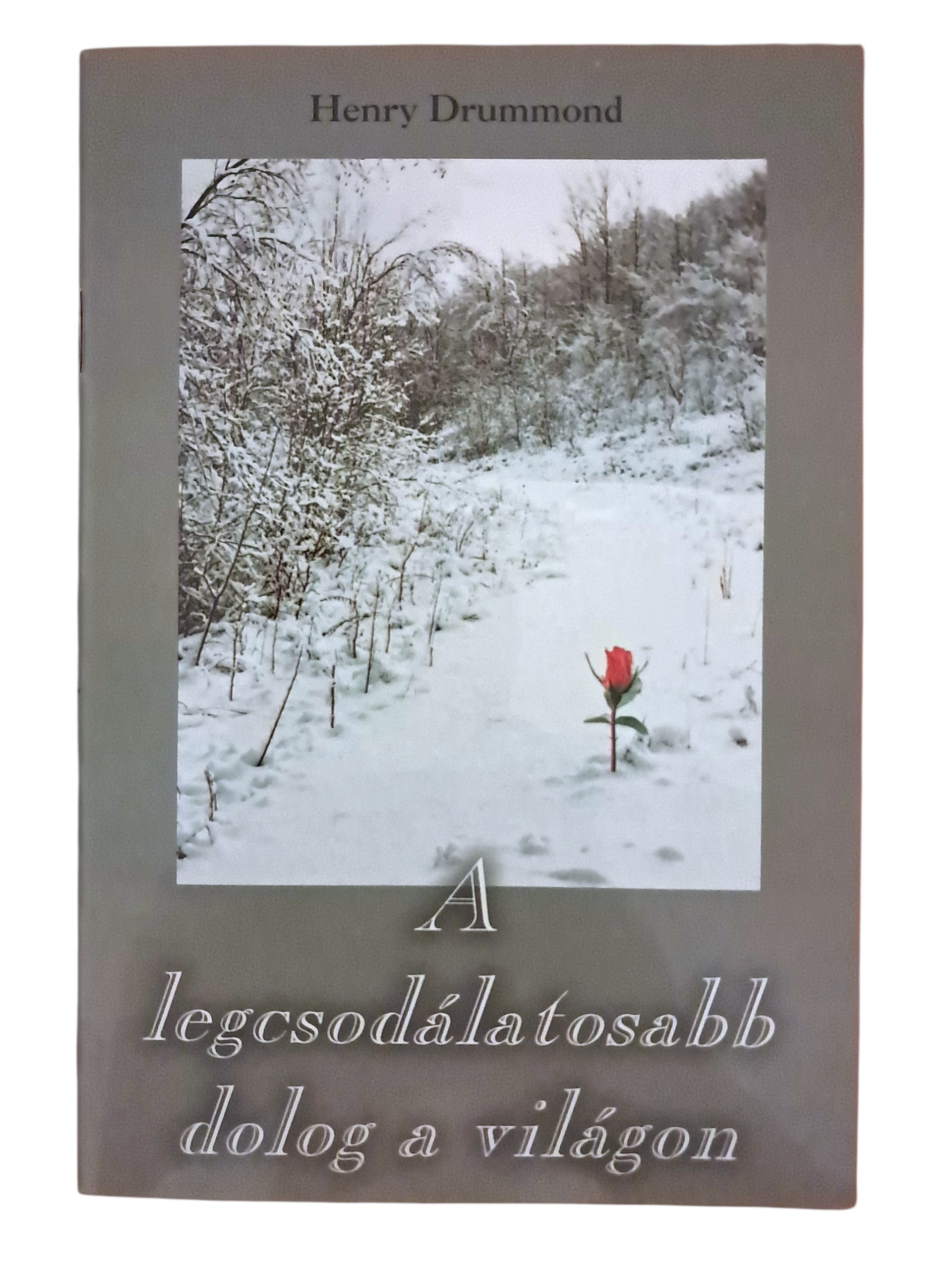 A legcsodálatosabb dolog a világon