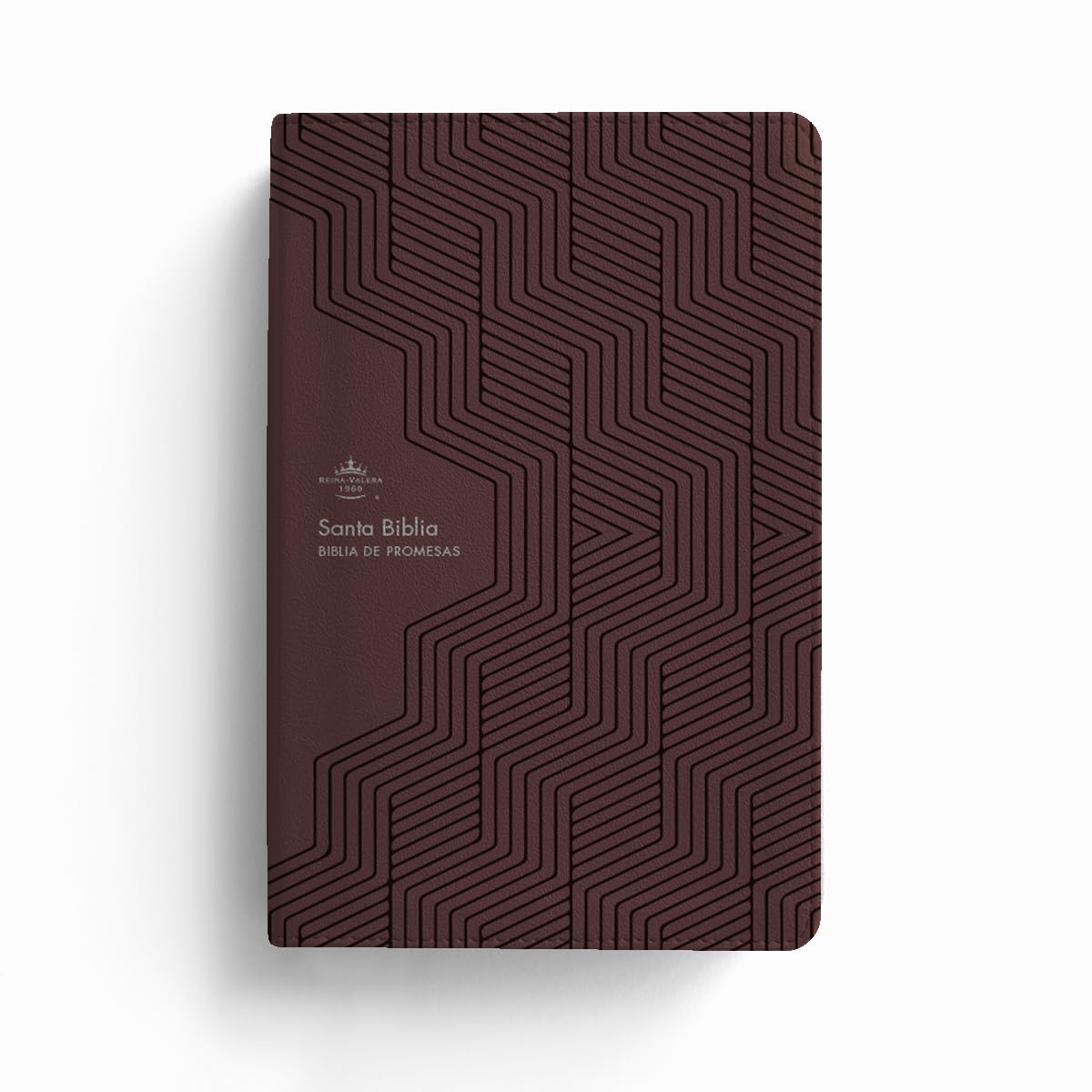 RVR 1960 Biblia Promesas Letra Grande