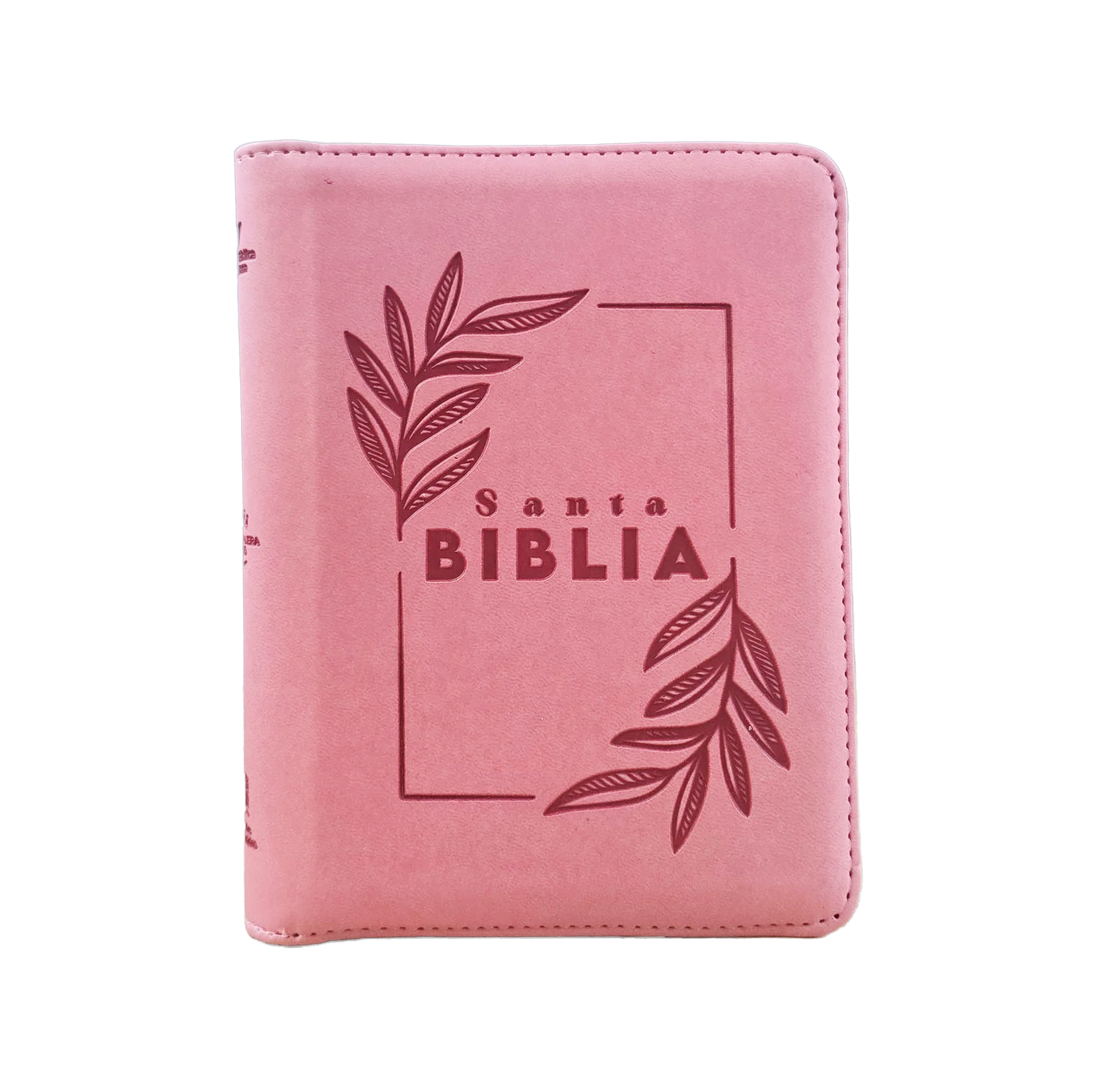 RVR 1960 Biblia Chica de Letra Grande