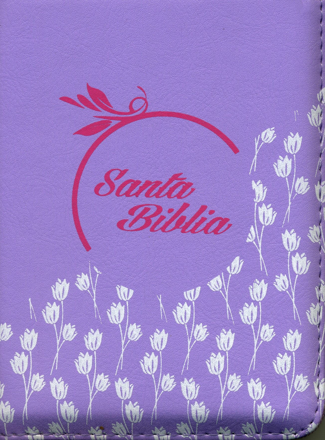 Biblia 025CZLG Lila Lavanda