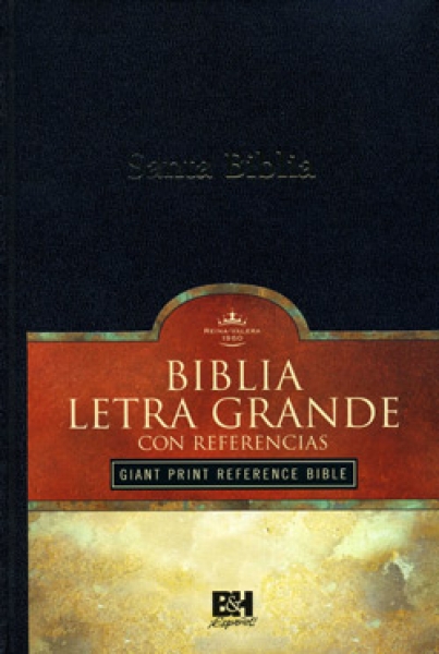 Biblia A V  clasica tapa dura