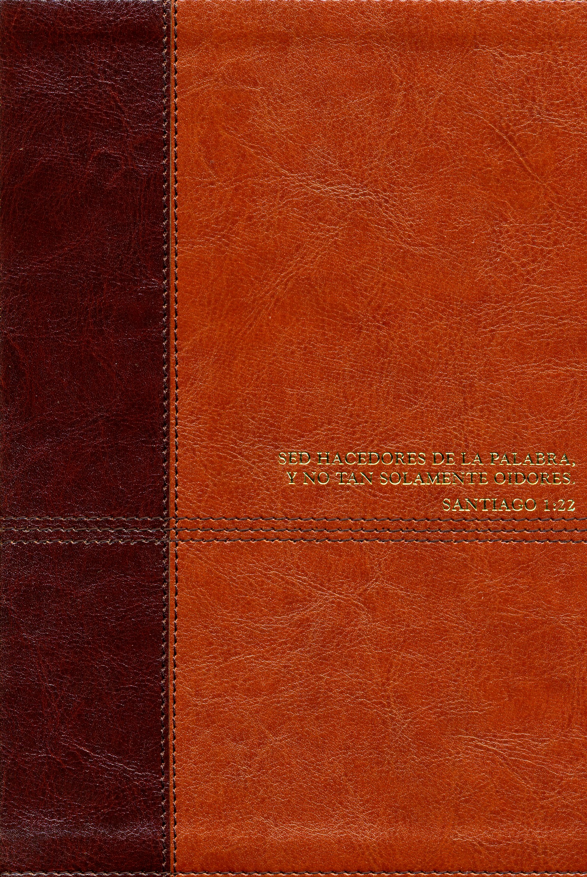 Biblia De Estudio Diario Vivir Nueva Edición Café