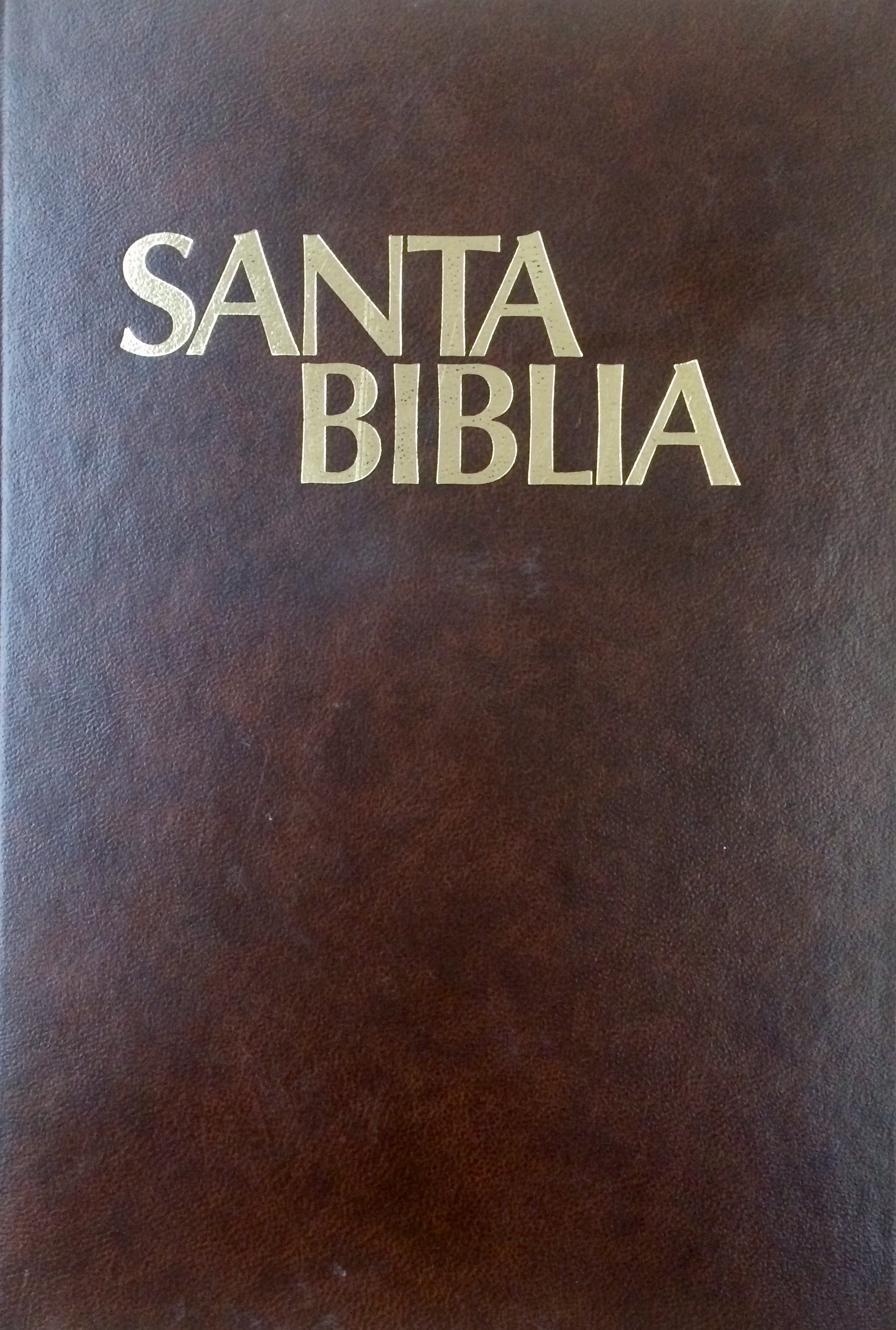 Biblia Pratt