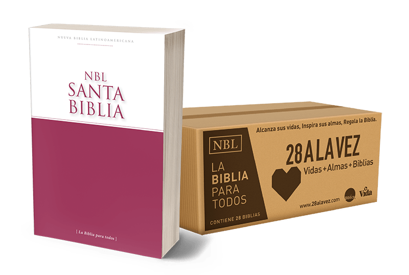 Caja De Biblias Misionera 28 A La Vez