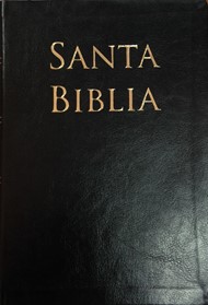Biblia Reina Valera 1960 Letra Grande