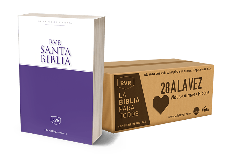 Caja De Biblias Misionera 28 A La Vez