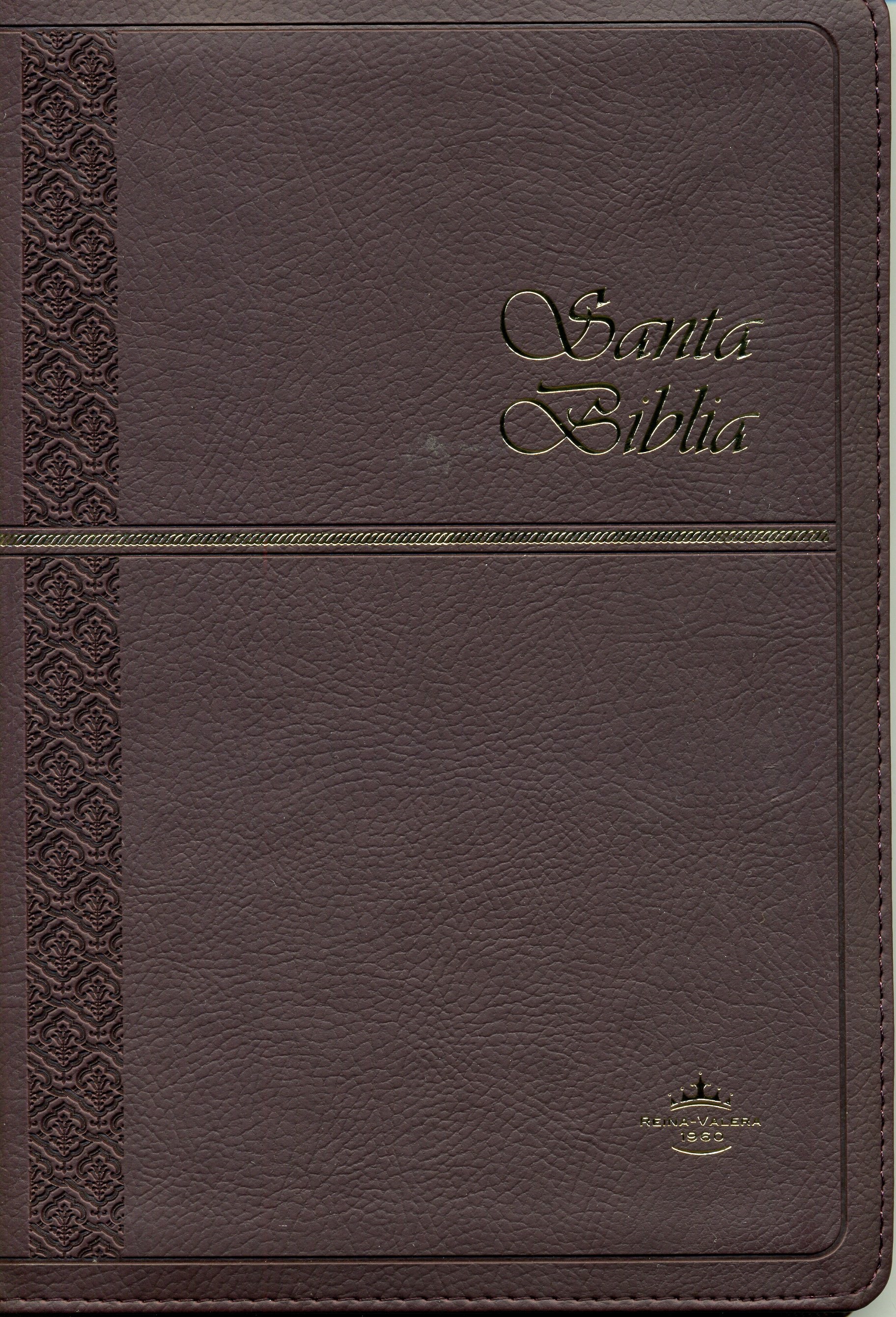 Biblia RVR60 Tamaño 65XZTI Semifina