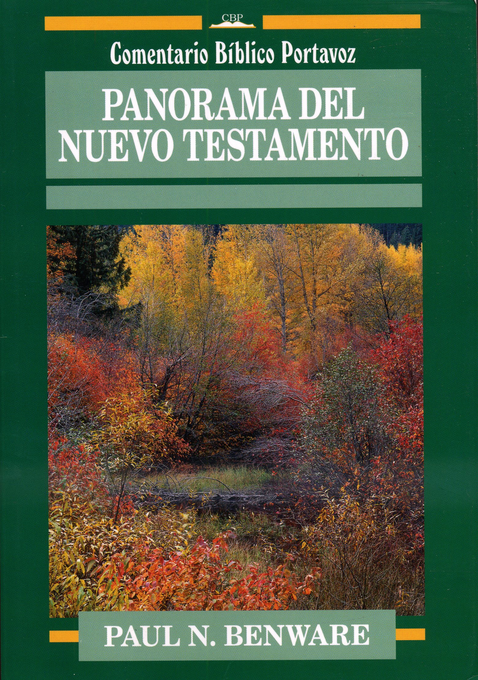 Panorama del nuevo testamento