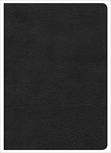 Biblia Letra Grande Negra Ingles