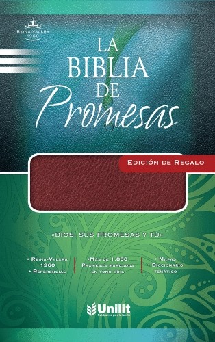 Biblia De Promesas Edición Regalo Imitación Piel Vino