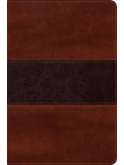 Biblia Del Pescador RVR60-Letra Grande-Caoba