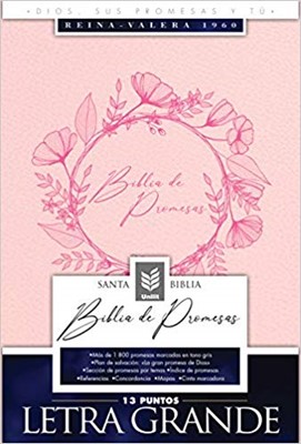 Biblia De Promesas-RVR60