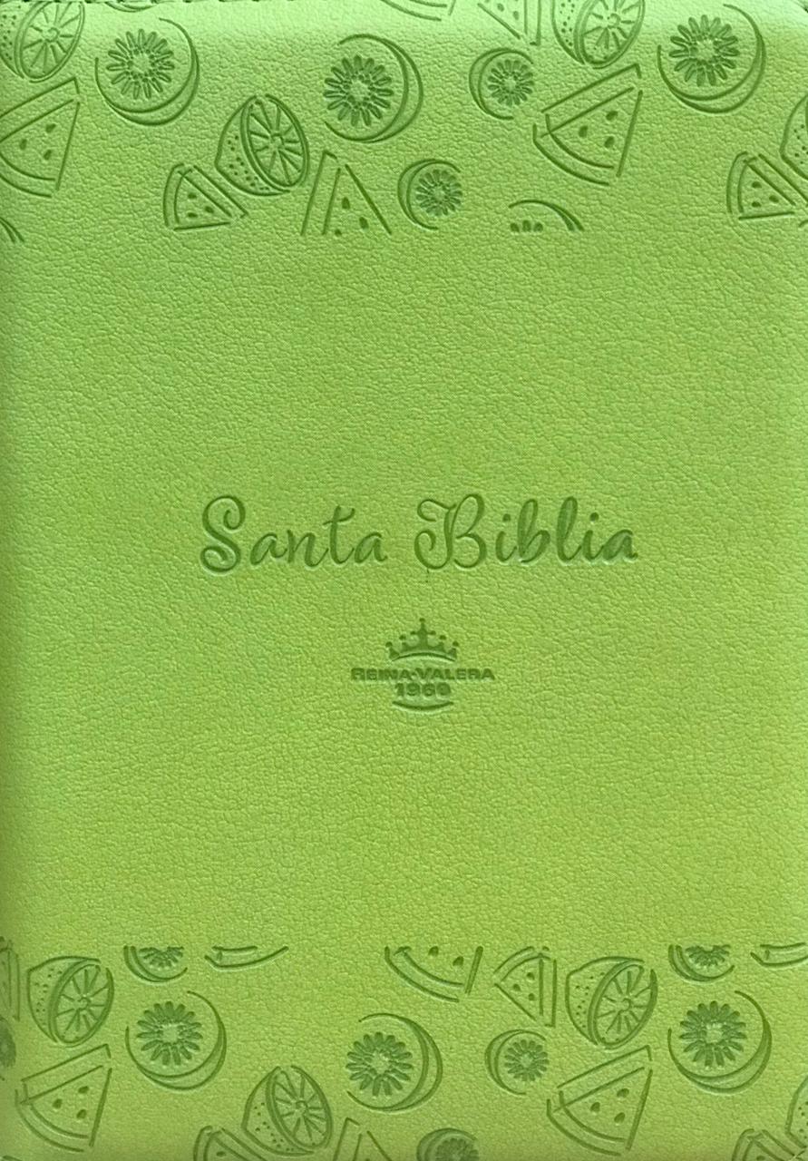 Biblia-RVR-45CZTILG-Verde-Canto Plateado