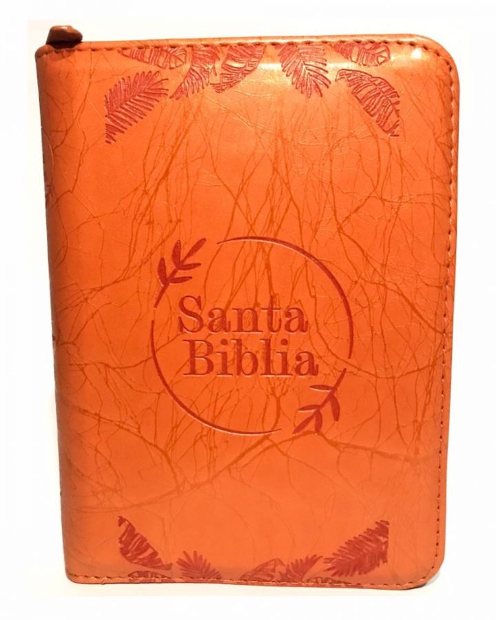 Biblia RVR 045CZLG PJR Naranja Canto Dorado