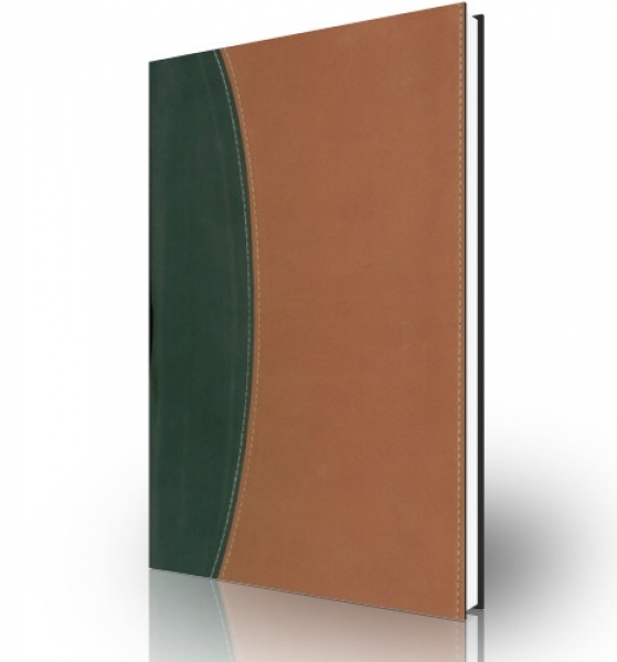 Biblia de referencia Thompson RVR60, dos tonos, negro/marron